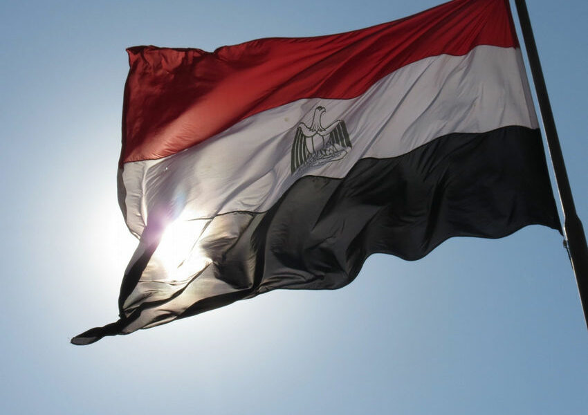 فصل 16 موظفة في مصر والسبب غير متوقع !