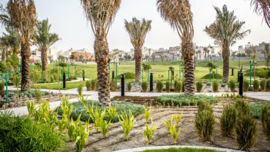 أجمل الحدائق العامة في دولة الإمارات للعوائل والمتزوجين