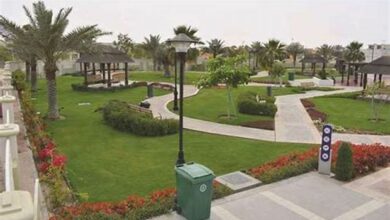 الحدائق العامة في دولة الإمارات للاستجمام بسعر مناسب للجميع