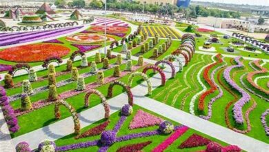 جميع السياح يحبون زيارة أروع الحدائق العامة في دولة الإمارات