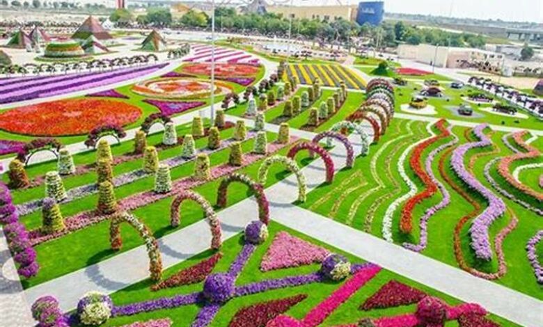 جميع السياح يحبون زيارة أروع الحدائق العامة في دولة الإمارات