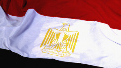 خبير في السياسات الدولية: استفزاز مصر لن يحقق استقرارا فى الشرق الأوسط