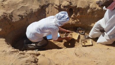 مصر.. الكشف عن أقدم امرأة مصابة بمرض خطير يدمر أجهزة الجسم (صور)