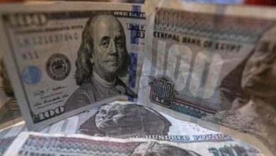 "الدولار يصل لمستوى تاريخي وغير مسبوق في مصر".. خبير يكشف لـRT الأسباب