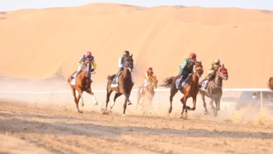 السباق الخامس للخيول العربية الأصيلة ينطلق غداً في الظفرة