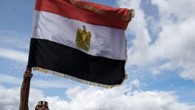 مصر.. نقيب الفلاحين يكشف سبب ارتفاع أسعار اللحوم في البلاد