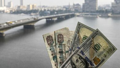 "فيتش" تصدر توقعاتها حول اقتصاد مصر بعد صفقة "رأس الحكمة"