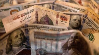 "كيف تسيطر مصر على الدولار في السوق السوداء".. خبير يتحدث لـRT عن الحل الأمثل