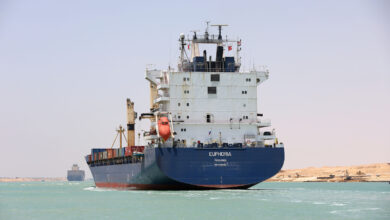 مصر.. وصول سفينة قمح جديدة من روسيا إلى مرفأ دمياط