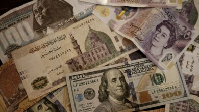 وزير المالية المصري: تحرير سعر الصرف سيؤثر على خدمة الدين وننتظر تمويلات جديدة من البنك الدولي