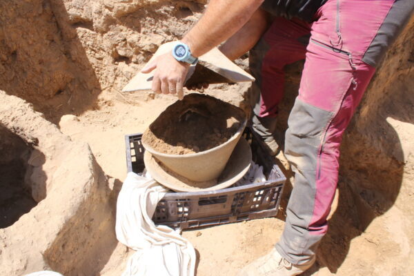 هيئة الآثار الإسرائيلية: اكتشاف أثري نادر يكشف الروابط التجارية بين مصر وفلسطين قبل 6000 عام