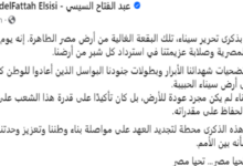 الرئيس السيسى: تحرير سيناء يعكس قوة إرادتنا فى استرداد كل شبر من أرضنا