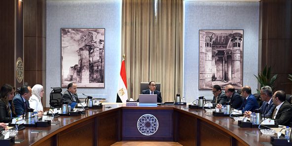 نقاش الرئيس الوزراء حول تعزيز سوق الأوراق المالية - موجز مصر