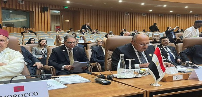 مصر تطالب بوقفة حاسمة ضد أوهام تصفية القضية الفلسطينية عبر التهجير