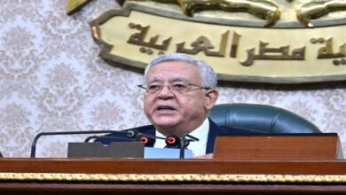 رئيس مجلس النواب: ندعم جهود الرئيس السيسي لوقفٍ عاجلٍ لإطلاق النار على الأراضي الفلسطينية